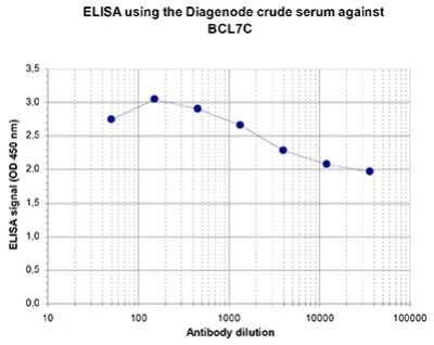 ELISA: BCL7C Antibody [NBP3-18642]